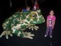 now that is a big frog