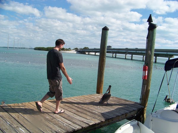 Sean keeping the pelicans away