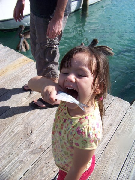 Sofia, Dont eat the fish!