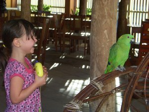 Breakfast with the parrot