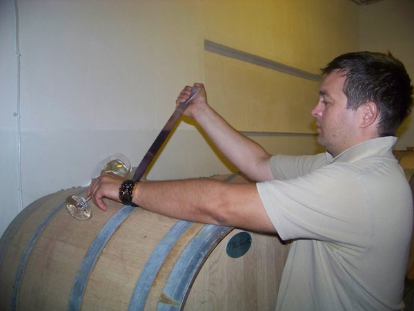 Tasting from the Barrel