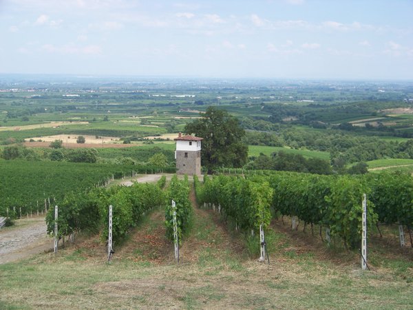 Kir - Yianni Wine Estate
