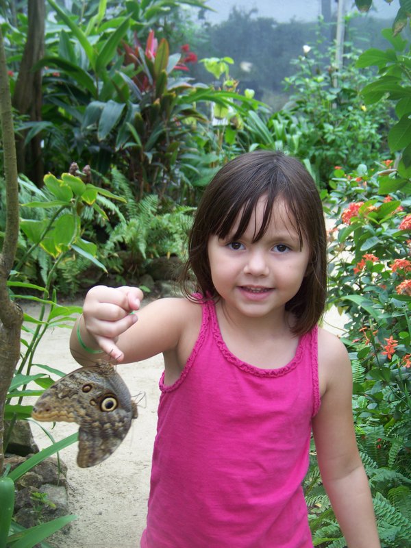 Holding the "connected" butterflies