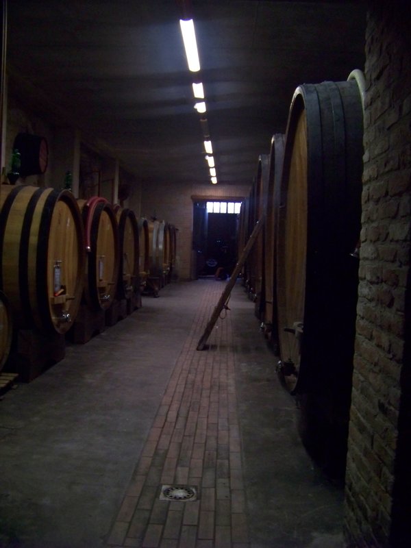 Rinaldi's Cellar