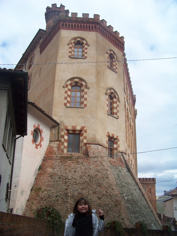 Castle in Barolo