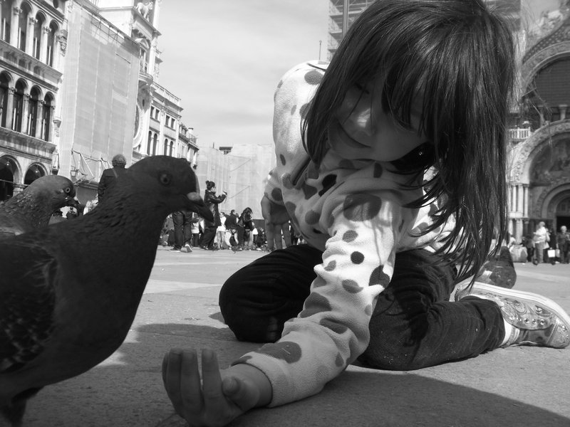 Feeding a Pigeon
