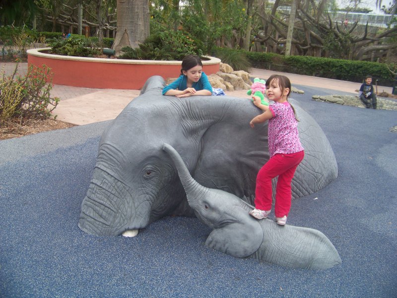 Playing with Luna on Elephants
