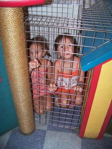 In a Cage with Trinity