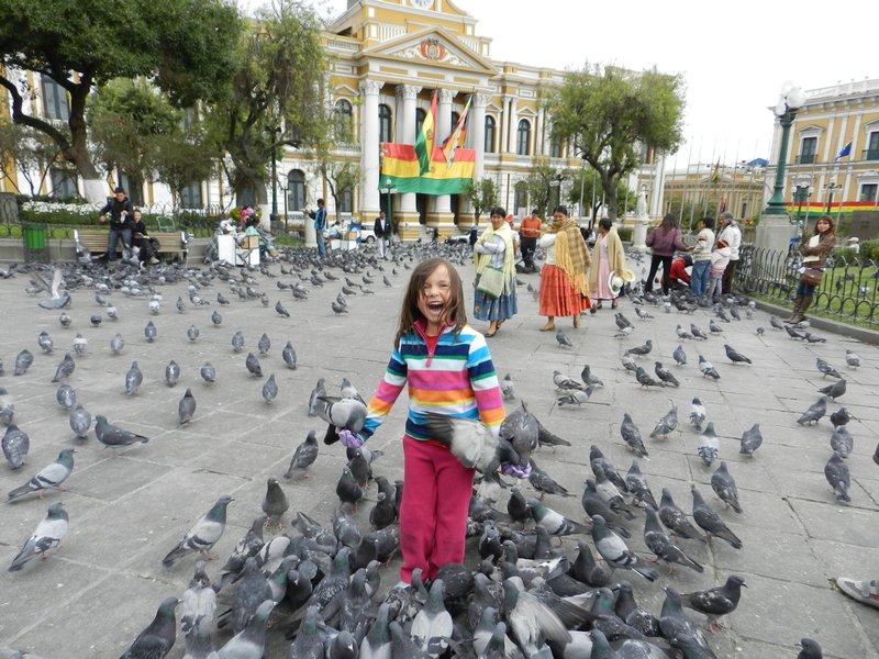 "wow, so many pigeons"