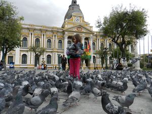 Me and the Pigeons