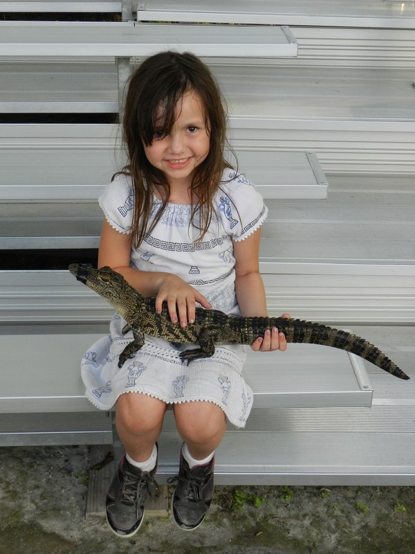 Holding an alligator
