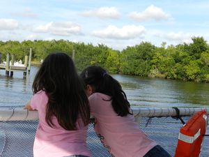 Chekcing out the Everglades with Luna