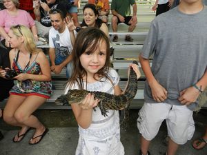 Holding an alligator | Photo