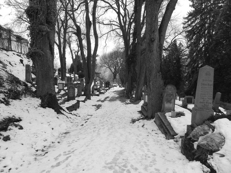 Sighisoara Cemetery