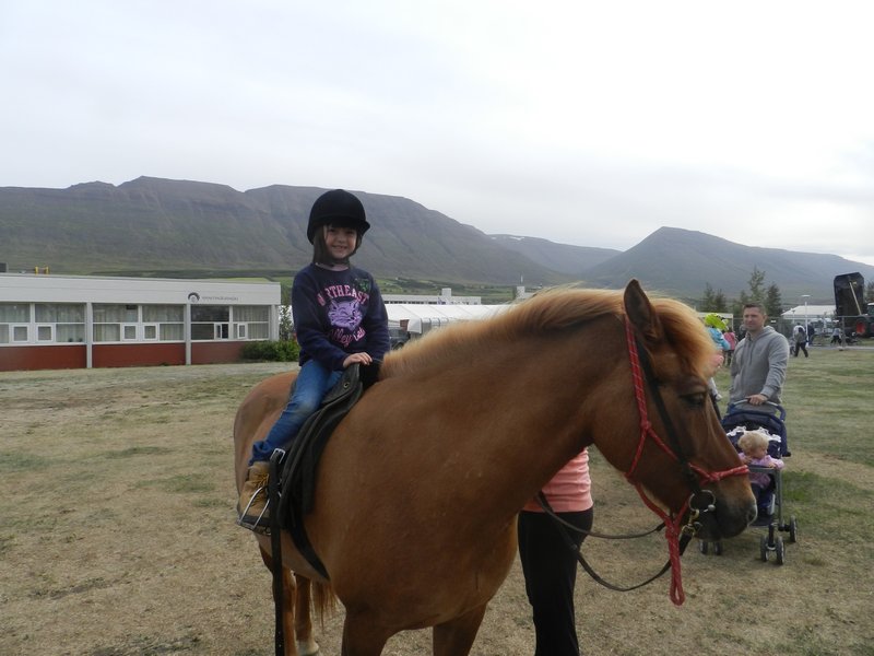 Riding an Icelandic Horse