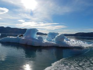 Morning Icebergs
