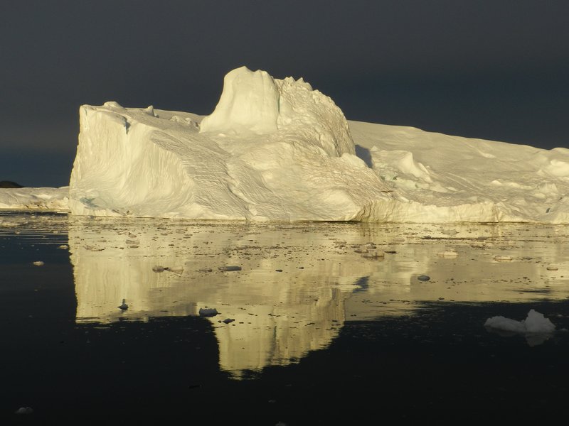 Evening Iceberg Reflections