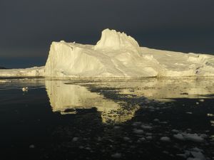 Iceberg in Evening Sun