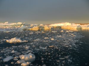Evening Sun Iceberg Trip