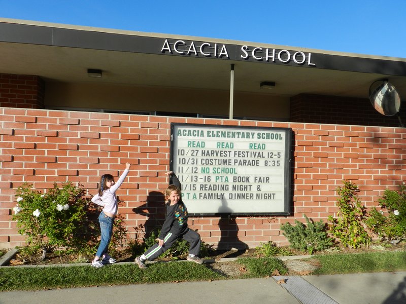 Daddy's Elementary School - Acacia