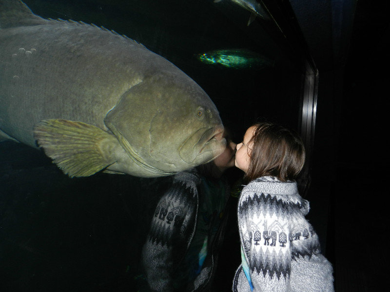Kissing a BIG fish