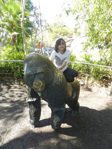 Hanging out on a gorilla