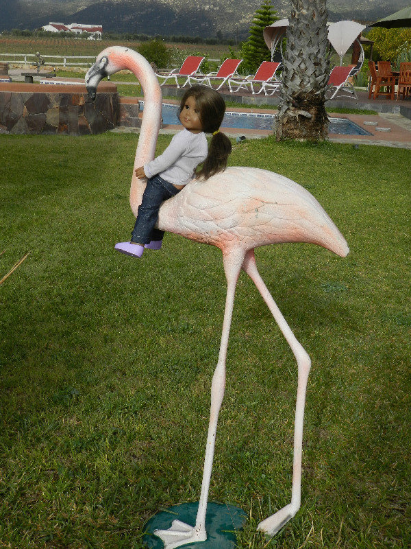 Suzy and Flamingo