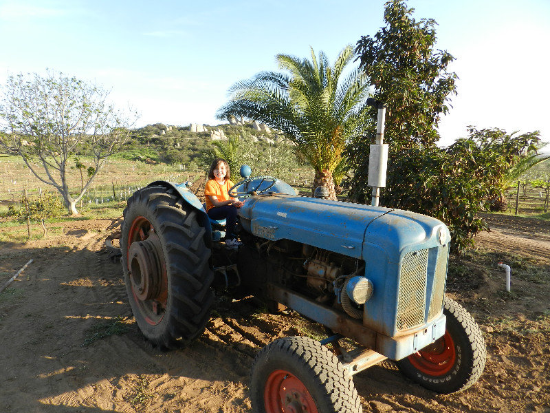 Riding a Tractor