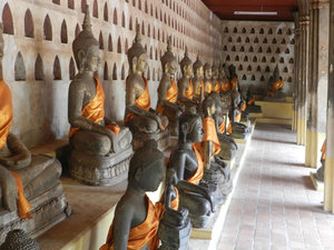 Sooooo many Buddhas