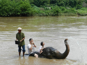 Bathing an Elephant