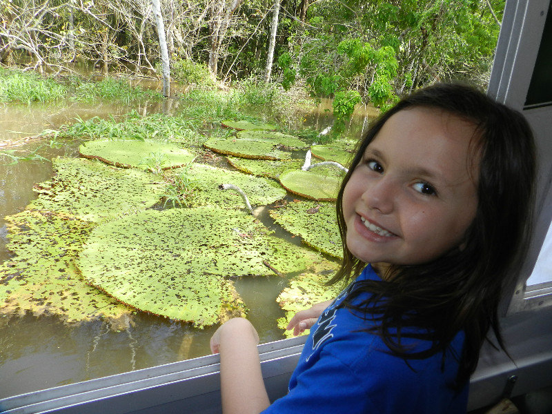 I loved the Giant Lily Pads
