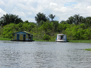 Amazon River Houses