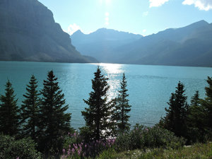 Another Beautiful Lake in Banff National Park