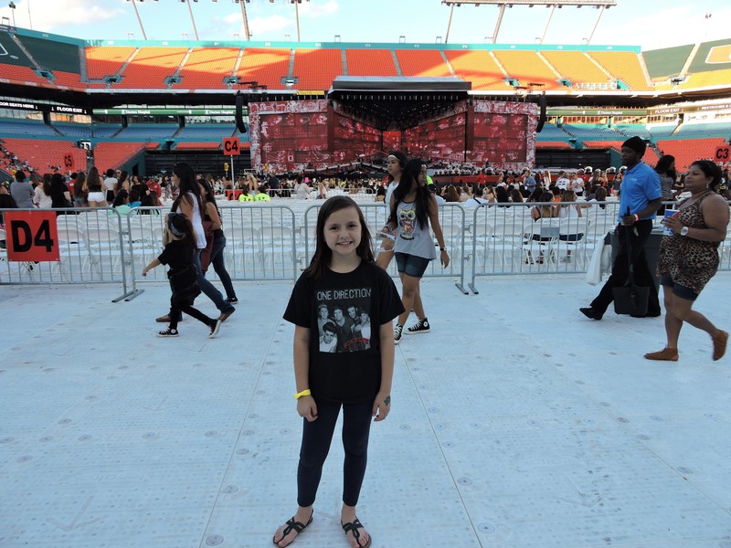 One Direction Concert
