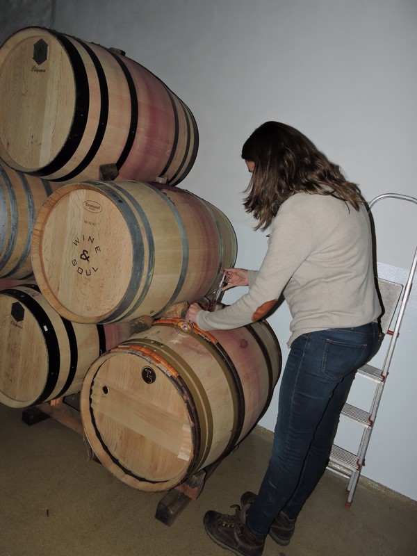 Barrel Tasting with Sandra of Wine and Soul