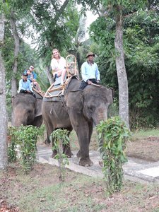 Elephant ride at Borobudur