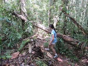 Hiking in Borneo