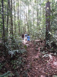 Hiking in Borneo