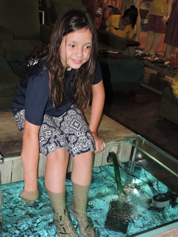 Getting my feet cleaned by fish