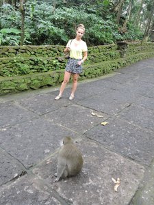 This is the macaque that made me cry