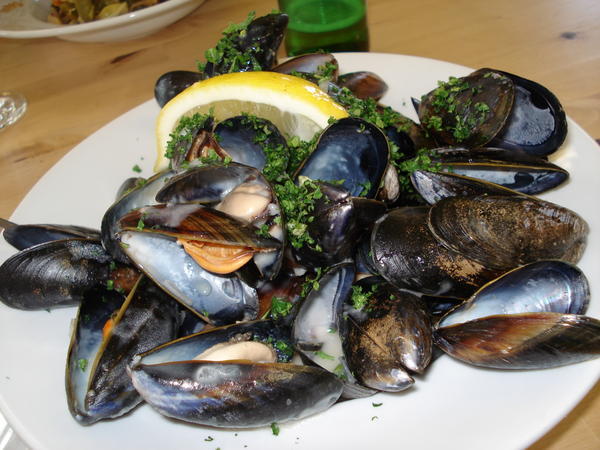 The Mussels