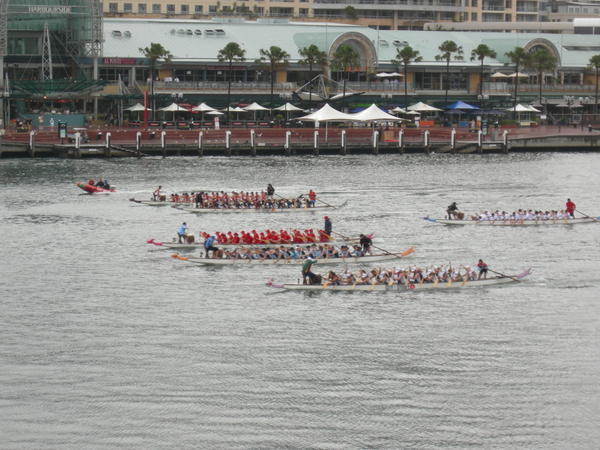 Dragon Boats in Darling Harbour
