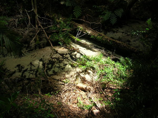 The "invisible creek"
