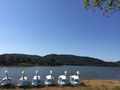 Odd/creepy 80's lake with swan boats