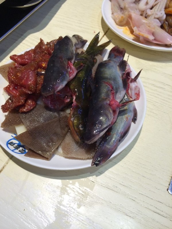 Catfish for the Hot Pot