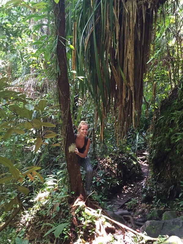 Gemma in the jungle again