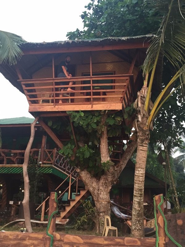 Chris in the tree house