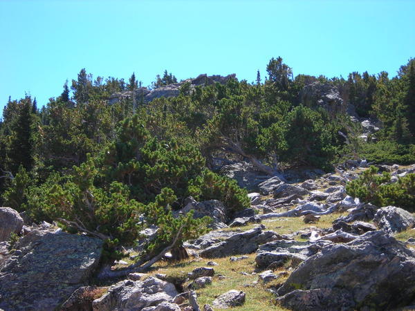 3 - the rocky landscape up near tree line