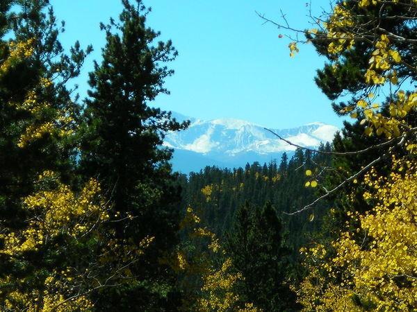3 - the contrasting colors of fall in the Rockies