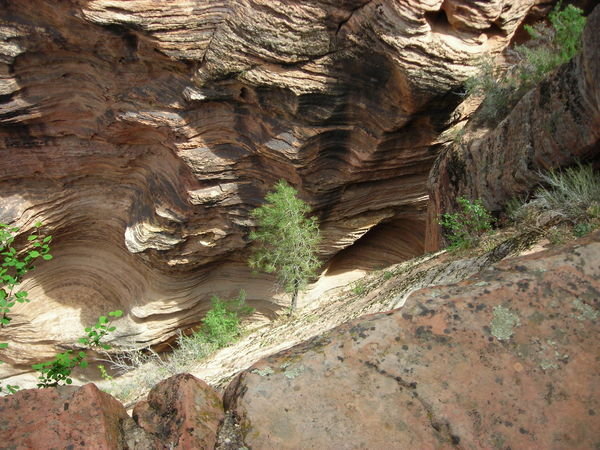 Looking down into a slot canyon